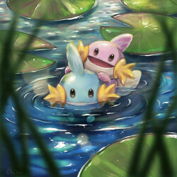 Rule 34 | alternate color, blurry, blurry foreground, creatures (company), depth of field, game freak, gen 3 pokemon, lily pad, momomo12, mudkip, nintendo, no humans, open mouth, outdoors, partially submerged, pokemon, pokemon (creature), shiny and normal, shiny pokemon, swimming, water
