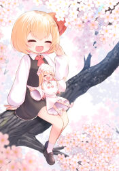 Rule 34 | 2girls, absurdres, ascot, black skirt, black vest, blonde hair, blush, capelet, cherry blossoms, closed eyes, collared shirt, dress, fairy, fairy wings, fang, hair ribbon, harunoha, hat, highres, in tree, lily white, long hair, long sleeves, mini person, minigirl, multiple girls, open mouth, red ascot, red ribbon, ribbon, rumia, shirt, shoes, short hair, sitting, sitting in tree, skin fang, skirt, smile, touhou, tree, vest, white capelet, white dress, white footwear, white headwear, white shirt, wide sleeves, wings