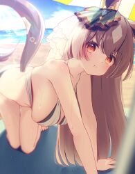 Rule 34 | 1girl, :t, all fours, alternate costume, animal ears, bare shoulders, barefoot, beach, beach umbrella, bikini, breasts, brown hair, cleavage, closed mouth, commentary request, ear ornament, hair between eyes, halterneck, highres, horse ears, horse girl, horse tail, large breasts, lens flare, multicolored hair, ocean, outdoors, ponta (1859ysmssstsp), sand, satono diamond (umamusume), solo, streaked hair, swimsuit, tail, umamusume, umbrella, water, white bikini, white hair, yellow eyes