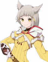 Rule 34 | 1girl, animal ears, blunt bangs, bodysuit, cat ears, flat chest, genbu (user unhx5348), gloves, highres, looking at viewer, nia (xenoblade), short hair, silver hair, simple background, smile, solo, white background, white gloves, xenoblade chronicles (series), xenoblade chronicles 2, yellow bodysuit, yellow eyes