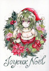 Rule 34 | 1girl, adapted costume, ahoge, bare shoulders, berry, breasts, christmas, cleavage, elbow gloves, female focus, flower, french text, gloves, green hair, h sakray, hat, highres, holly, kazami yuuka, light smile, lips, looking at viewer, merry christmas, messy hair, pink flower, pink rose, plaid, red eyes, red gloves, rose, sack, sakurai haruto, santa costume, santa hat, short hair, simple background, smile, solo, touhou, upper body, wavy hair, white background, wreath