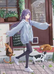 Rule 34 | 1girl, animal, blue eyes, cat, cat cafe, closed mouth, day, door, full body, grey sweater, highres, leaf, long hair, looking at viewer, menu board, naxile, original, outdoors, pantyhose, purple hair, ribbed sweater, road, shop, shorts, sleeves past wrists, smile, solo, street, sweater, walking, white footwear