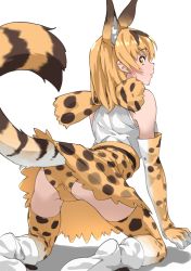 Rule 34 | 1girl, absurdres, animal ear fluff, animal ears, arched back, ass, bare shoulders, blonde hair, boots, commentary, elbow gloves, extra ears, from behind, gloves, high-waist skirt, highres, kemono friends, kneeling, looking back, medium hair, panties, print gloves, print panties, print skirt, print thighhighs, serval (kemono friends), serval print, shirt, simple background, skirt, sleeveless, sleeveless shirt, solo, tail, tanabe (fueisei), thighhighs, underwear, white background, white footwear, white shirt, yellow eyes