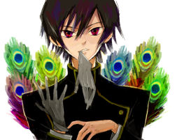 Rule 34 | 00s, 1boy, black hair, code geass, gloves, lelouch vi britannia, looking at viewer, male focus, mouth hold, peacock feathers, poo (donkan gokko), red eyes, school uniform, solo, uniform, upper body, white background