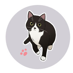 Rule 34 | animal, animal focus, brown eyes, cat, full body, grey background, looking at viewer, no humans, original, outline, paw print, paw print background, que meng meng, round image, two-tone background, white background, white outline