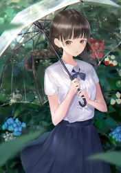 Rule 34 | 1girl, bad id, bad pixiv id, blue flower, blue skirt, blurry, blurry foreground, blush, braid, breasts, brown eyes, brown hair, chromatic aberration, collared shirt, commentary request, depth of field, dress shirt, flower, forget-me-not (flower), holding, holding umbrella, hydrangea, long hair, looking at viewer, low twintails, original, outdoors, parted lips, pleated skirt, rain, red flower, school uniform, shii (kairi-t-k0317), shirt, short sleeves, sidelocks, skirt, small breasts, solo, standing, transparent, transparent umbrella, twin braids, twintails, umbrella, very long hair, white flower, white shirt