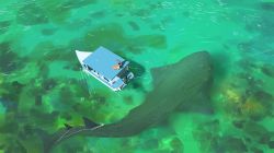 Rule 34 | boat, commentary, day, dog, fish, fishing, fishing line, fishing rod, from above, green theme, hat, holding, holding fishing rod, houseboat, motor vehicle, nature, ocean, original, outdoors, scenery, shark, snatti, water, watercraft, whale shark