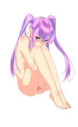 Rule 34 | 1girl, bad id, bad pixiv id, barefoot, blue eyes, clitoris, derivative work, feet, feet together, full body, highres, hugging own legs, legs, long hair, looking at viewer, nail polish, nude, original, purple hair, pussy, sitting, solo, spark of forever, spread pussy, toenail polish, toenails, toes, transparent background, twintails, uncensored, white background, zimu jiang