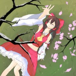 Rule 34 | 1girl, ascot, blurry, blurry background, bow, branch, brown hair, cherry blossoms, commentary, depth of field, detached sleeves, english commentary, grass, hair bow, hair tubes, hakurei reimu, highres, medium hair, outdoors, parted lips, red bow, red eyes, red shirt, red skirt, ribbon-trimmed sleeves, ribbon trim, shirt, skirt, snow, solo, touhou, wackapuff, wide sleeves, yellow ascot