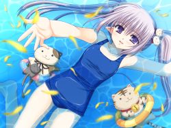 Rule 34 | 00s, 1girl, blue eyes, cat, cat hair ornament, hair ornament, highres, innertube, nishimata aoi, official art, one-piece swimsuit, petals, pointy ears, primula, school swimsuit, shuffle!, silver hair, solo, stuffed animal, stuffed cat, stuffed toy, swim ring, swimsuit, twintails, water