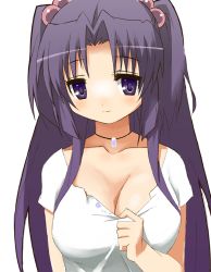 Rule 34 | 00s, 1girl, 9law, bad id, bad pixiv id, blush, breasts, clannad, cleavage, hair bobbles, hair ornament, ichinose kotomi, jewelry, large breasts, long hair, necklace, purple eyes, purple hair, simple background, smile, solo, two side up, upper body, white background