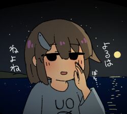 Rule 34 | 1girl, black eyes, blue shirt, blush, fish hair ornament, full moon, hair ornament, hand to own mouth, hand up, horizon, jitome, kani aji, kani aji-chan, long sleeves, looking at viewer, moon, night, no pupils, no sclera, ocean, open mouth, original, outdoors, print shirt, raised eyebrows, reflection, reflective water, shirt, sky, smile, solo, star (sky), starry sky, translation request, upper body, whispering