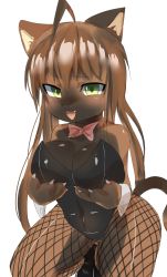 1girl brown_hair cameltoe cat female_focus fishnets furry furry_female green_eyes highres leotard long_hair nukochi playboy_bunny solo strapless strapless_leotard