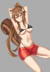 Rule 34 | 1girl, :q, animal ear fluff, animal ears, armpits, arms behind head, arms up, bare shoulders, bikini, bikini under clothes, black bikini, breasts, brown eyes, brown hair, cleavage, closed mouth, commission, grey background, halterneck, highleg, highleg bikini, highres, long hair, looking at viewer, medium breasts, naughty face, navel, original, park bokja, ponytail, red shorts, second-party source, short shorts, shorts, simple background, smile, solo, squirrel ears, squirrel girl, squirrel tail, stomach, string bikini, swimsuit, tail, thighs, tongue, tongue out, twomoon, very long hair