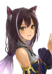 Rule 34 | 1girl, animal ear fluff, animal ears, black hair, blush, cat ears, chan1moon, commentary request, from side, green eyes, hair between eyes, highres, karyl (princess connect!), long hair, looking at viewer, multicolored hair, princess connect!, simple background, solo, streaked hair, very long hair, white background, white hair
