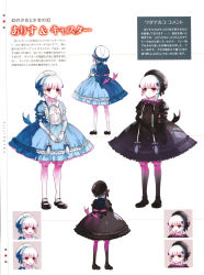 Rule 34 | 10s, 2girls, absurdres, alice (fate), bow, braid, character sheet, doll joints, dress, fate/extra, fate (series), gothic lolita, hat, highres, joints, lolita fashion, multiple girls, nursery rhyme (fate), nursery rhyme (fate/grand order), pink eyes, scan, shoes, siblings, sisters, twin braids, twins, wada arco, white hair