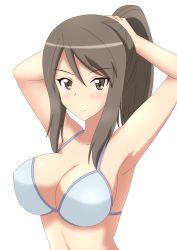 Rule 34 | 10s, 1girl, alternate costume, alternate hairstyle, armpits, arms up, bikini, blue bikini, breasts, brown eyes, brown hair, bunching hair, cleavage, commentary request, eyebrows, girls und panzer, hair tie, hiromon, large breasts, long hair, looking at viewer, mika (girls und panzer), ponytail, simple background, solo, swimsuit, upper body, white background