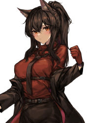 Rule 34 | 1girl, absurdres, animal ear fluff, animal ears, arknights, belt, black hair, black jacket, black necktie, blush, breasts, closed mouth, collared shirt, cowboy shot, gloves, hair between eyes, highres, jacket, long hair, long sleeves, looking at viewer, medium breasts, molyb, necktie, off shoulder, official alternate costume, open clothes, open jacket, orange eyes, ponytail, red gloves, red shirt, shirt, sidelocks, simple background, solo, texas (arknights), texas (willpower) (arknights), white background, wolf ears, wolf girl