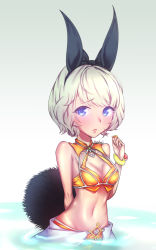Rule 34 | 10s, 1girl, absurdres, animal ears, arm behind back, bikini, bikini top only, blade &amp; soul, blue eyes, bow, bracelet, breasts, rabbit ears, cleavage, fandral (vnfmvnfm), highres, jewelry, lyn (blade &amp; soul), midriff, navel, ribbon, ring, short hair, silver hair, skirt, solo, swimsuit, tail, upper body