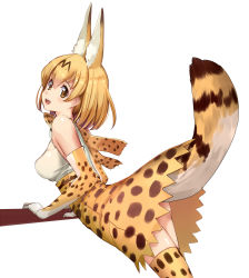 Rule 34 | 10s, 1girl, akasaai, animal ear fluff, animal ears, bare shoulders, blonde hair, breasts, cowboy shot, detached sleeves, dress, elbow gloves, gloves, highres, kemono friends, leaning forward, looking at viewer, medium breasts, open mouth, serval (kemono friends), serval print, serval tail, short hair, solo, tail, thighhighs, thighs, yellow dress, yellow thighhighs