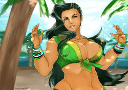 Rule 34 | 1girl, asymmetrical hair, black hair, breasts, brown eyes, capcom, cleavage, cornrows, dark skin, dark-skinned female, female focus, front-tie top, hayame (m ayame), large breasts, laura matsuda, long hair, looking at viewer, midriff, navel, parted lips, smile, solo, stomach, street fighter, street fighter v, upper body, wide hips