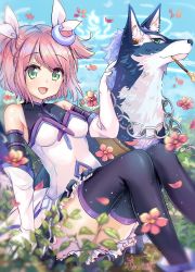 Rule 34 | 1girl, ass, bare shoulders, black thighhighs, blurry, bodysuit, covered collarbone, day, depth of field, dog, estellise sidos heurassein, gloves, green eyes, highres, miniskirt, navel, official alternate costume, orendi laran, outdoors, pink hair, plant, repede (tales), short hair, sitting, skirt, smile, smoking pipe, tales of (series), tales of vesperia, thighhighs, thighs, twintails, two side up