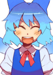Rule 34 | 1girl, bad id, bad pixiv id, blue hair, blush, cirno, embodiment of scarlet devil, female focus, happy, highres, katou haruaki, short hair, simple background, solo, touhou, upper body, white background