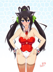 Rule 34 | 10s, 1girl, animal ears, black hair, blue eyes, breasts, butter-t, cat ears, corset, detached collar, detached sleeves, hands on own hips, highleg, highleg leotard, hip focus, infinite stratos, kittysuit, large breasts, leotard, long hair, nontraditional playboy bunny, ponytail, shinonono houki, solo, split ponytail, thighhighs, wide hips, wrist cuffs