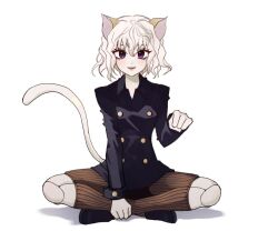 Rule 34 | 1other, androgynous, animal ears, cat ears, cat tail, chimera ant, curly hair, full body, hunter x hunter, indian style, joints, long sleeves, looking at viewer, neferpitou, other focus, purple eyes, ribbed shorts, short hair, simple background, sitting, smile, solo, straight-on, tail, takbamm, white background, white hair