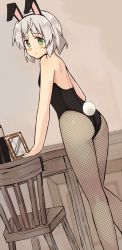 Rule 34 | 1girl, animal ears, bad id, bad pixiv id, bare back, blush, chair, fake animal ears, fishnet pantyhose, fishnets, glastonbury1966, green eyes, grey hair, leotard, looking at viewer, looking back, pantyhose, playboy bunny, rabbit ears, rabbit tail, sanya v. litvyak, short hair, solo, strike witches, table, tail, world witches series