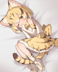 Rule 34 | 1girl, animal ears, back bow, bare shoulders, blonde hair, blush, bow, bowtie, brown hair, cat ears, cat girl, cat tail, commentary request, curled up, elbow gloves, extra ears, frilled skirt, frills, from above, gloves, hair between eyes, high-waist skirt, highres, kemono friends, loafers, looking at viewer, multicolored hair, noamem, on bed, print bow, print bowtie, print gloves, print skirt, print socks, sand cat (kemono friends), sand cat print, shirt, shoes, short hair, sidelocks, skirt, sleeveless, socks, solo, tail, white footwear, white gloves, white hair, white shirt, yellow eyes