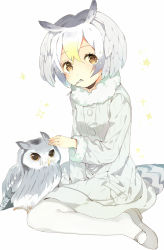Rule 34 | 10s, 1girl, bird, bird tail, brown coat, coat, fur collar, grey coat, head wings, highres, huang bao b, kemono friends, northern white-faced owl (kemono friends), owl, pantyhose, sitting, sparkle, tail, utensil in mouth, white pantyhose, wings