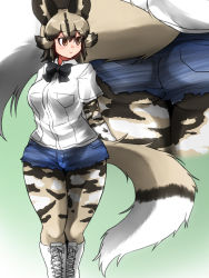 Rule 34 | 1girl, african wild dog (kemono friends), african wild dog print, animal ears, arm at side, arm behind back, ass, black bow, black hair, blue shorts, bodystocking, boots, bow, bowtie, breast pocket, breasts, brown eyes, closed mouth, commentary request, cross-laced footwear, crossed legs, cutoffs, denim, denim shorts, dog ears, dog girl, dog tail, feet out of frame, grey hair, highres, isna (footprintsofisna), kemono friends, lace-up boots, large breasts, layered sleeves, legs together, long sleeves, looking to the side, lower body, medium hair, multicolored hair, multiple views, pantyhose, parted bangs, pocket, print sleeves, shirt, short over long sleeves, short shorts, short sleeves, shorts, skin tight, smile, tail, two-tone hair, underbutt, walking, white footwear, white shirt