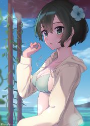 Rule 34 | 1girl, akira tooru, artist name, bikini, black hair, blue flower, blue sky, breasts, cloud, commentary request, day, flower, from side, green bikini, green eyes, hair between eyes, hair flower, hair ornament, hand up, highres, hood, hood down, hooded jacket, jacket, long sleeves, looking at viewer, looking to the side, medium breasts, open clothes, open jacket, original, outdoors, resolution mismatch, short hair, sky, solo, source smaller, swimsuit, yellow jacket