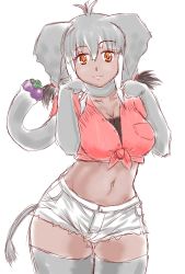 Rule 34 | 1girl, animal ears, antenna hair, black hair, breast pocket, breasts, buttons, cleavage, closed mouth, cropped shirt, dark-skinned female, dark skin, elbow gloves, elephant ears, elephant girl, elephant tail, food, fruit, gloves, grey gloves, grey hair, grey thighhighs, hair between eyes, hands up, highres, kemono friends, lips, looking at viewer, medium breasts, midriff, multicolored hair, navel, orange eyes, pocket, poporu (hukuroneko), red shirt, scarf, shirt, short shorts, short sleeves, short twintails, shorts, simple background, sketch, smile, solo, stomach, sumatran elephant (kemono friends), tail, thighhighs, tied shirt, twintails, unbuttoned, white background, white hair, white shorts