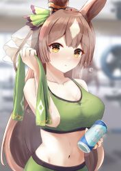 Rule 34 | alternate costume, animal ears, blurry, blurry background, blush, breasts, collarbone, commentary request, energy drink, heavy, heavy breathing, highres, horse ears, horse girl, horse tail, large breasts, looking at viewer, navel, ponytail, satono diamond (umamusume), sports bra, sweat, t ritama, tail, umamusume, yellow eyes