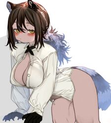 Rule 34 | 1girl, animal ears, animal hands, arknights, blush, breasts, brown hair, cleavage, cowboy shot, dress shirt, highres, kochiya (gothope), large breasts, long sleeves, naked shirt, no bra, open clothes, open shirt, paid reward available, ponytail, raccoon ears, raccoon girl, raccoon tail, robin (arknights), shirt, simple background, solo, tail, white background, white shirt, yellow eyes