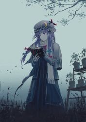 1girl absurdres adapted_costume blue_bow blue_ribbon book bookmark bow branch closed_mouth commentary_request crescent crescent_hat_ornament dress expressionless gradient_background grass hair_bow hat hat_ornament hat_ribbon highres holding holding_book mob_cap open_book patchouli_knowledge petals plant potted_plant purple_eyes purple_hair red_bow red_ribbon ribbon scarf simple_background solo touhou yautja