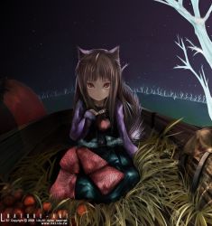 Rule 34 | 00s, animal ears, apple, brown hair, food, fruit, holo, kneeling, liki, long hair, red eyes, solo, spice and wolf, wheat
