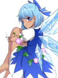 Rule 34 | 1girl, absurdres, arms up, back, barefoot, blue bow, blue dress, blue eyes, blue hair, blush, bow, cirno, closed mouth, collared shirt, commentary request, dress, eyes visible through hair, flower, from behind, hair between eyes, hands up, highres, ice, ice wings, leaf, looking at viewer, looking back, mntt re4, puffy short sleeves, puffy sleeves, purple flower, shirt, short hair, short sleeves, simple background, sitting, solo, tan, tanned cirno, touhou, v-shaped eyebrows, white background, white shirt, wings