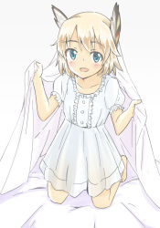 Rule 34 | 1girl, alternate costume, animal ears, bed sheet, blonde hair, blue eyes, hatopoo (beach7pijon), head wings, looking at viewer, nightgown, raisa pottgen, short hair, smile, solo, strike witches, under covers, wings, witches of africa, world witches series