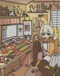Rule 34 | 1girl, animal ears, black eyes, black thighhighs, blush, cactus, cat ears, cat girl, cat tail, collarbone, doremifaso64, furry, furry female, highres, hood, hoodie, indoors, keyboard (computer), knee up, looking at viewer, monitor, original, parted lips, sitting, solo, swivel chair, tail, thighhighs, white hair, window blinds