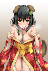 Rule 34 | 1girl, animal ears, areola slip, black hair, blush, breasts, breath, butterfly hair ornament, chain, chain leash, chinese zodiac, clover, clover hair ornament, collar, dog ears, dog tail, four-leaf clover, green eyes, hair between eyes, hair ornament, hairclip, heavy breathing, highres, hitoi, japanese clothes, kimono, large breasts, leash, long hair, looking at viewer, natsume konoha, no panties, obi, off shoulder, open clothes, open kimono, open mouth, original, paw pose, pussy juice, red kimono, sash, short hair, smile, solo, sweat, sweatdrop, tail, wide sleeves, year of the dog