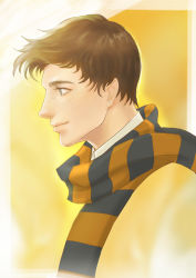 Rule 34 | 1boy, blue eyes, brown hair, fantastic beasts and where to find them, freckles, harry potter (series), male focus, newt scamander, portrait, scarf, solo, wizarding world, yunzhi-zz