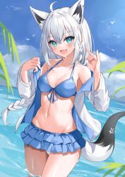 Rule 34 | 1girl, :d, ahoge, animal ears, bare shoulders, bikini, bikini skirt, blue bikini, blue eyes, braid, breasts, cleavage, collarbone, fox ears, fox girl, fox shadow puppet, fox tail, front-tie bikini top, front-tie top, halterneck, highres, hololive, jacket, long hair, long sleeves, looking at viewer, medium breasts, navel, noboru (kamine204136), off shoulder, open clothes, open jacket, open mouth, shirakami fubuki, shirakami fubuki (hololive summer 2019), sidelocks, single braid, smile, solo, standing, stomach, string bikini, swimsuit, tail, thighs, virtual youtuber, wading, water, wet, white hair, white jacket