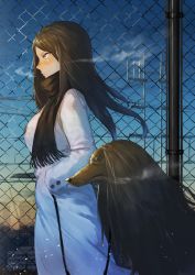 Rule 34 | 1girl, animal, black hair, black scarf, blue sky, blurry, blurry background, blush, breasts, breath, chain-link fence, closed mouth, coat, day, depth of field, dog, pet walking, fence, fringe trim, from side, hands in pockets, highres, leash, long hair, long sleeves, medium breasts, nose blush, original, outdoors, parted bangs, power lines, pyz (cath x tech), scarf, signature, sky, solo, tsurime, white coat, winter, winter clothes, winter coat