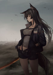 Rule 34 | 1girl, absurdres, animal ears, belt, bird, black hair, black shorts, breasts, closed mouth, cloud, cloudy sky, collarbone, collared jacket, commentary, cowboy shot, grey shirt, hand in pocket, highres, jacket, kakikurui, legs apart, long hair, long sleeves, looking afar, medium breasts, open clothes, open jacket, original, pointy nose, puffy long sleeves, puffy sleeves, shirt, shorts, sky, solo, standing, tail, wasteland, weapon, wolf ears, wolf girl, wolf tail, yellow eyes