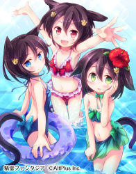 Rule 34 | 3girls, :d, animal ears, arms up, bikini, blue eyes, blue one-piece swimsuit, brown hair, cat ears, cat tail, clothes pull, collarbone, company name, copyright name, fang, flower, frilled bikini, frills, green bikini, green eyes, hair between eyes, hair flower, hair ornament, hand on own cheek, hand on own face, highres, innertube, looking at viewer, matsuuni, multiple girls, navel, one-piece swimsuit, open mouth, outstretched arms, partially submerged, paw hair ornament, red bikini, red eyes, seirei fantasia, skirt, skirt pull, smile, sparkle, swim ring, swimsuit, tail, water, watermark