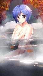 Rule 34 | 1girl, autumn leaves, between legs, blue hair, breasts, cleavage, closed mouth, collarbone, completely nude, covering privates, covering breasts, covering crotch, doukyuusei, doukyuusei another world, game cg, hand between legs, leaf, looking at viewer, maple leaf, medium breasts, nude, official art, onsen, outdoors, partially submerged, short hair, sitting, smile, solo, tamachi hiromi, yellow eyes