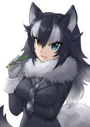 Rule 34 | 10s, 1girl, animal ears, between breasts, black hair, blue eyes, breast hold, breasts, checkered clothes, checkered necktie, fur collar, gloves, grey wolf (kemono friends), heterochromia, highres, kemono friends, large breasts, long hair, long sleeves, looking at viewer, multicolored hair, necktie, necktie between breasts, open mouth, pencil, plaid, plaid necktie, plaid neckwear, qi&#039;e (penguin), signature, simple background, solo, tail, two-tone hair, white background, wolf ears, wolf tail, yellow eyes